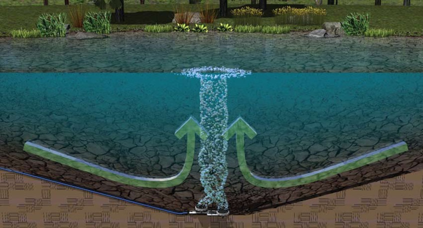 Строительство и проектирование прудов и искусственных водоемов 