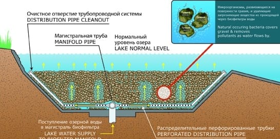 Строительство и проектирование прудов и искусственных водоемов